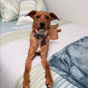 Meet your Posher, Kelsey